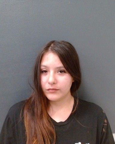REGISTER, GABRIELA RENAE arrest record in Comal County, Texas REGISTER, GABRIELA RENAE arrested in Comal County, Texas mugshot