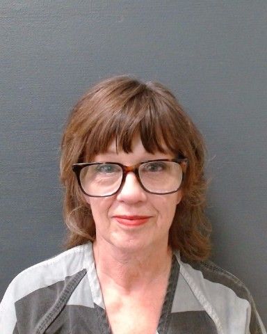 REYNES, LEANNE DAWN arrest record in Comal County, Texas REYNES, LEANNE DAWN arrested in Comal County, Texas mugshot