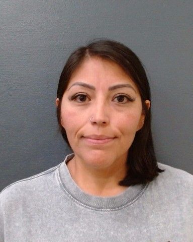 LOPEZ, STEPHANIE MARIE arrest record in Comal County, Texas LOPEZ, STEPHANIE MARIE arrested in Comal County, Texas mugshot