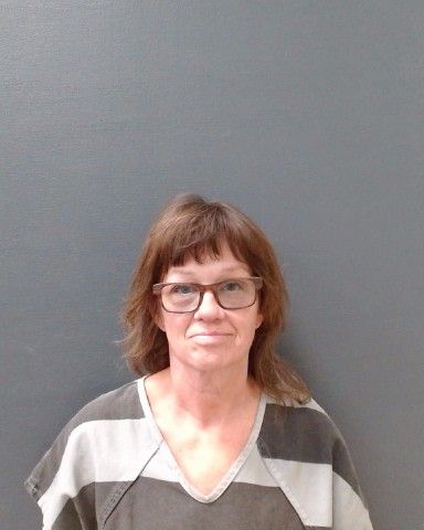 REYNES, LEANNE DAWN arrest record in Comal County, Texas REYNES, LEANNE DAWN arrested in Comal County, Texas mugshot