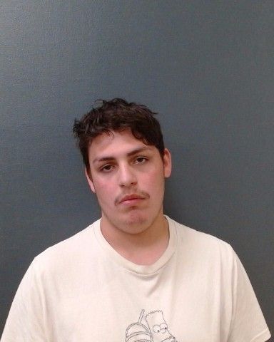 MCCARNEY, RICARDO JOSE arrest record in Comal County, Texas MCCARNEY, RICARDO JOSE arrested in Comal County, Texas mugshot