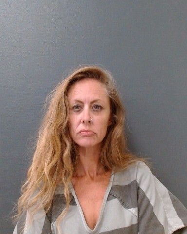 TOLSON, JESSICA LYN arrest record in Comal County, Texas TOLSON, JESSICA LYN arrested in Comal County, Texas mugshot