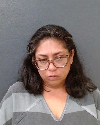 SANCHEZ, AMIE LYNN arrest record in Comal County, Texas SANCHEZ, AMIE LYNN arrested in Comal County, Texas mugshot