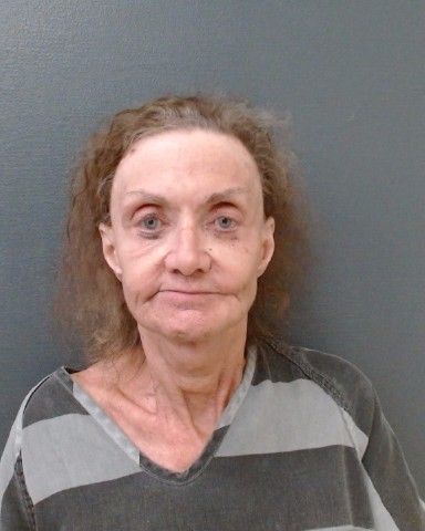 RAAB, JOAN arrest record in Comal County, Texas RAAB, JOAN arrested in Comal County, Texas mugshot