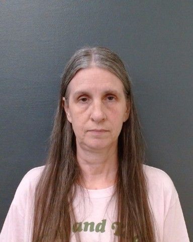 BERG, JENNY CAROLINE arrest record in Comal County, Texas BERG, JENNY CAROLINE arrested in Comal County, Texas mugshot