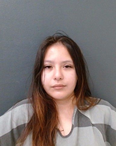 REGISTER, GABRIELA RENAE arrested in Comal County, Texas mugshot