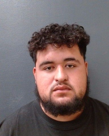 REYES-VELA, JOSE arrest record in Comal County, Texas REYES-VELA, JOSE arrested in Comal County, Texas mugshot