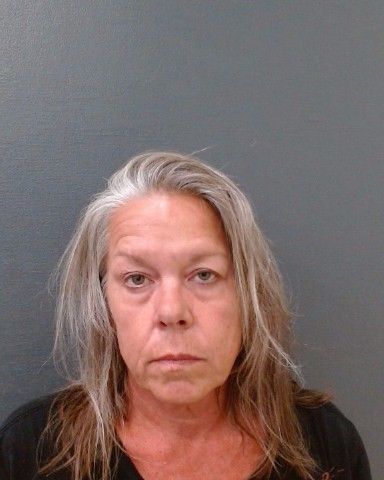 JANOTTA, MARNIE JO arrest record in Comal County, Texas JANOTTA, MARNIE JO arrested in Comal County, Texas mugshot