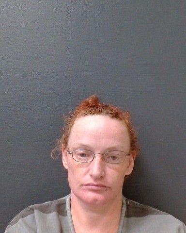 WAGER, DANIELLE ANNE arrest record in Comal County, Texas WAGER, DANIELLE ANNE arrested in Comal County, Texas mugshot