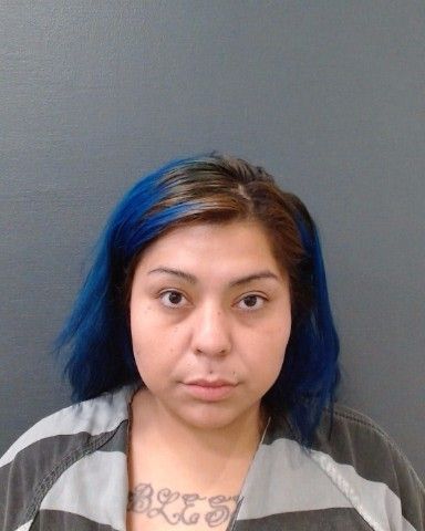 MALDONADO, JENNIFER arrest record in Comal County, Texas MALDONADO, JENNIFER arrested in Comal County, Texas mugshot