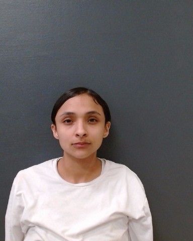 LONGORIA, LINDSEY RAQUEL arrest record in Comal County, Texas LONGORIA, LINDSEY RAQUEL arrested in Comal County, Texas mugshot