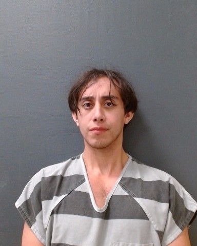 CALVO, LUIS DAVD arrest record in Comal County, Texas CALVO, LUIS DAVD arrested in Comal County, Texas mugshot