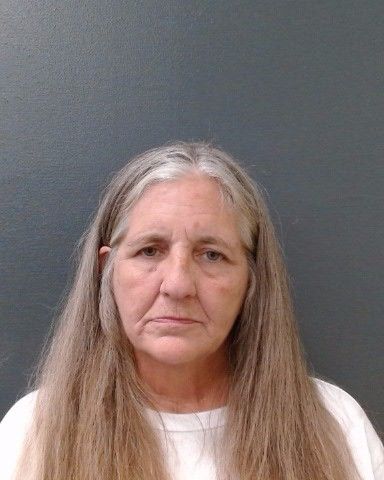 WILLIAMS, KAREN LYNN arrest record in Comal County, Texas WILLIAMS, KAREN LYNN arrested in Comal County, Texas mugshot
