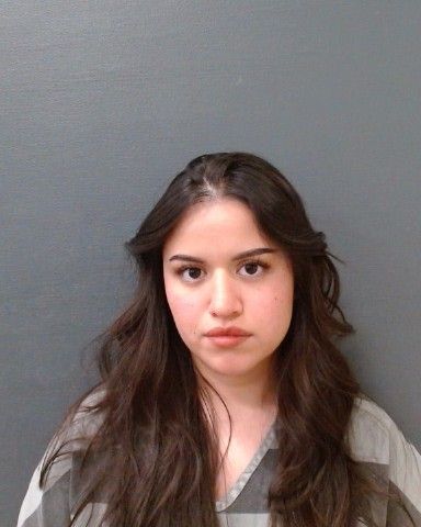 GOMEZ, VIRGINIA ALICIA arrest record in Comal County, Texas GOMEZ, VIRGINIA ALICIA arrested in Comal County, Texas mugshot