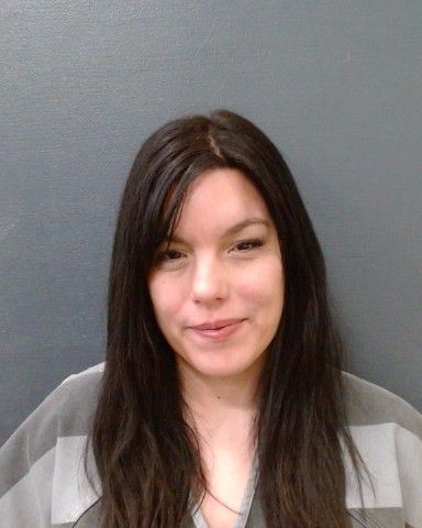 SANCHEZ, SHAMILETTE ANN arrest record in Comal County, Texas SANCHEZ, SHAMILETTE ANN arrested in Comal County, Texas mugshot