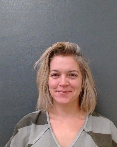 VOLOSIN, AUTUMN FAWN arrest record in Comal County, Texas VOLOSIN, AUTUMN FAWN arrested in Comal County, Texas mugshot