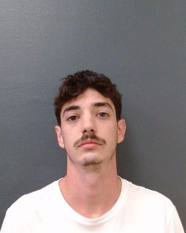 WEINER, SETH MICHAEL arrest record in Comal County, Texas WEINER, SETH MICHAEL arrested in Comal County, Texas mugshot