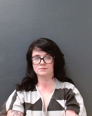 HOUSETON, AMANDA JOLYN arrest record in Comal County, Texas HOUSETON, AMANDA JOLYN arrested in Comal County, Texas mugshot