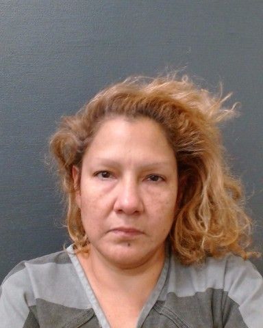 GALLEGOS, MONICA CARBAJAL arrest record in Comal County, Texas GALLEGOS, MONICA CARBAJAL arrested in Comal County, Texas mugshot