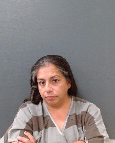 RODRIGUEZ, LISA MARIE arrest record in Comal County, Texas RODRIGUEZ, LISA MARIE arrested in Comal County, Texas mugshot
