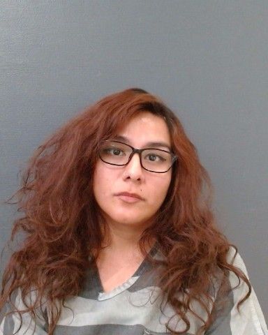 CANTU, KTRENA RNAE arrest record in Comal County, Texas CANTU, KTRENA RNAE arrested in Comal County, Texas mugshot