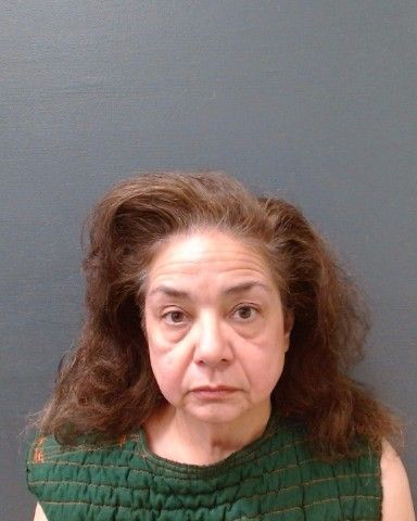 ROMERO, ELIZABETH CROSBY arrest record in Comal County, Texas ROMERO, ELIZABETH CROSBY arrested in Comal County, Texas mugshot