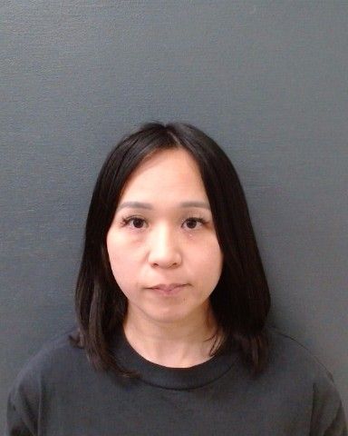YANG, ALINA LE arrest record in Comal County, Texas YANG, ALINA LE arrested in Comal County, Texas mugshot