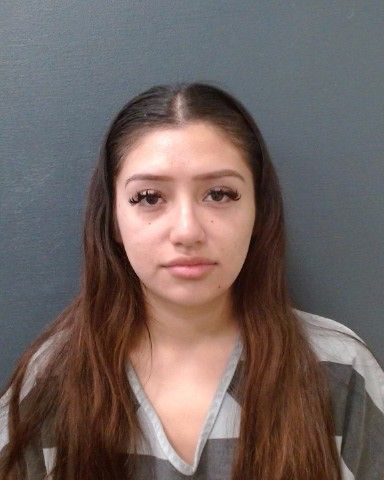FLORES, ALEJANDRA arrest record in Comal County, Texas FLORES, ALEJANDRA arrested in Comal County, Texas mugshot