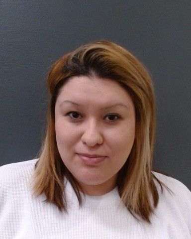 HAYNES, SHAWN KIRSTEN arrest record in Comal County, Texas HAYNES, SHAWN KIRSTEN arrested in Comal County, Texas mugshot