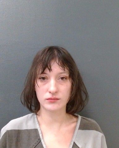 DAVIS, EMILY GRACE arrest record in Comal County, Texas DAVIS, EMILY GRACE arrested in Comal County, Texas mugshot