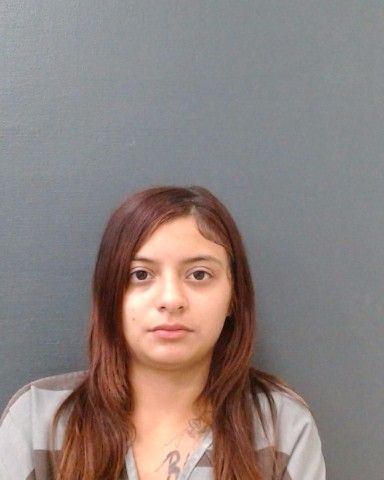 BEST, MERCEDES LEANNE arrest record in Comal County, Texas BEST, MERCEDES LEANNE arrested in Comal County, Texas mugshot