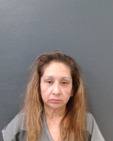 MORALES, MICHELLE MORENO arrest record in Comal County, Texas MORALES, MICHELLE MORENO arrested in Comal County, Texas mugshot