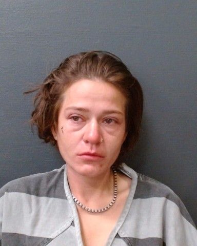 FREMAULT, LINDSEY DENISE arrest record in Comal County, Texas FREMAULT, LINDSEY DENISE arrested in Comal County, Texas mugshot