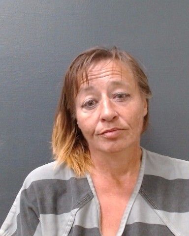 ANTAL, BRANDIE LEIGH arrest record in Comal County, Texas ANTAL, BRANDIE LEIGH arrested in Comal County, Texas mugshot