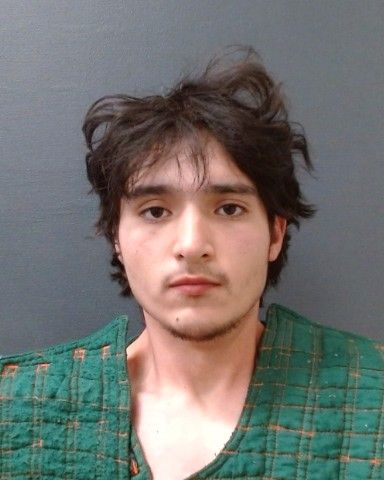 REGISTER, ISAIAH MARK arrested in Comal County, Texas mugshot