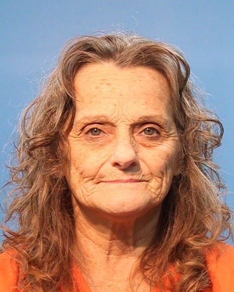 FORD, BECKY arrest record in Brazoria County, Texas FORD, BECKY arrested in Brazoria County, Texas mugshot