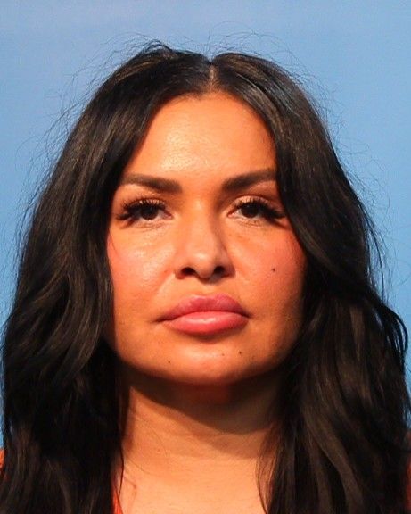 FarkhojasTeh-Ellis, Farnoosh arrest record in Brazoria County, Texas FarkhojasTeh-Ellis, Farnoosh arrested in Brazoria County, Texas mugshot