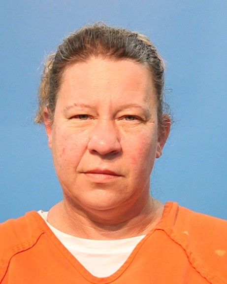 Welhoelter, Shannon Nicole arrest record in Brazoria County, Texas Welhoelter, Shannon Nicole arrested in Brazoria County, Texas mugshot