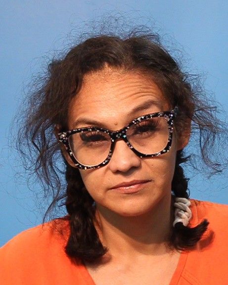 POMPA SANMIGUEL, SYLVIA arrest record in Brazoria County, Texas POMPA SANMIGUEL, SYLVIA arrested in Brazoria County, Texas mugshot