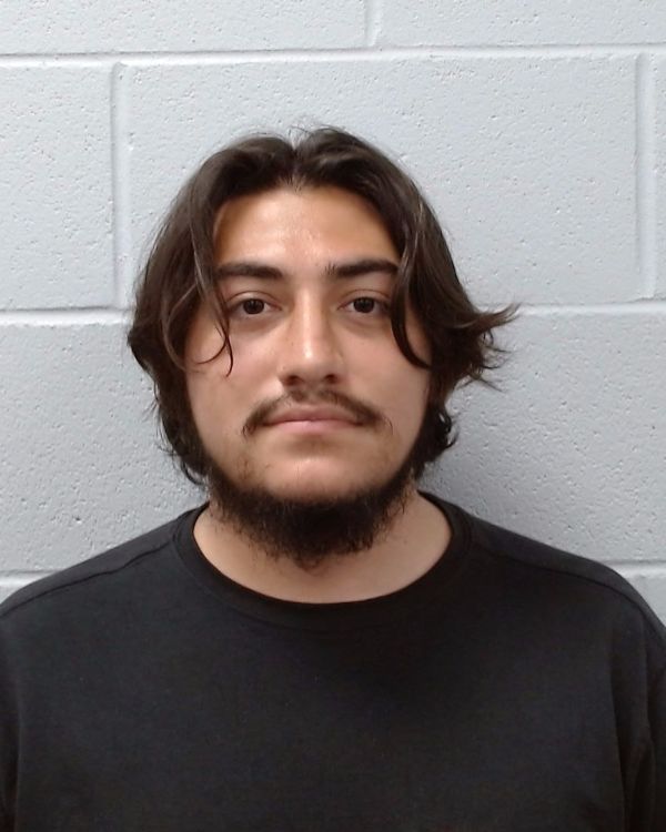 Williamson, Evan David arrest record in Hays County, Texas Williamson, Evan David arrested in Hays County, Texas mugshot