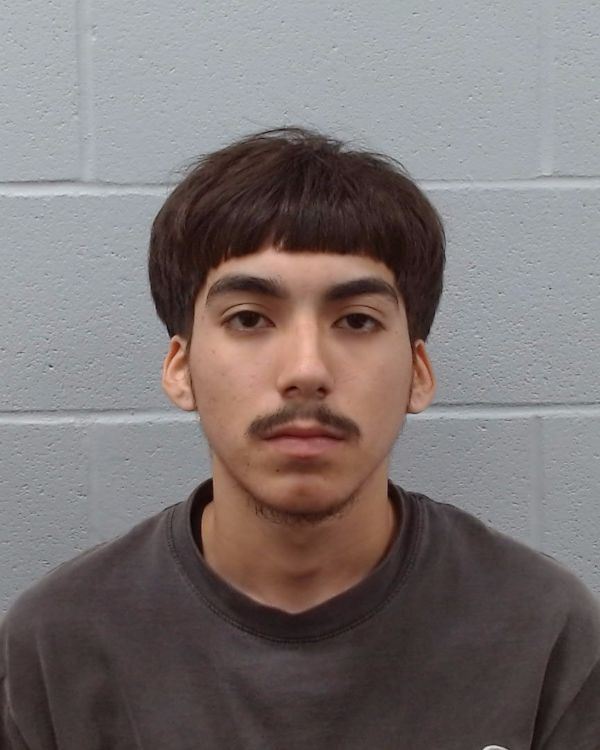 Escamilla, Trinidad arrest record in Hays County, Texas Escamilla, Trinidad arrested in Hays County, Texas mugshot