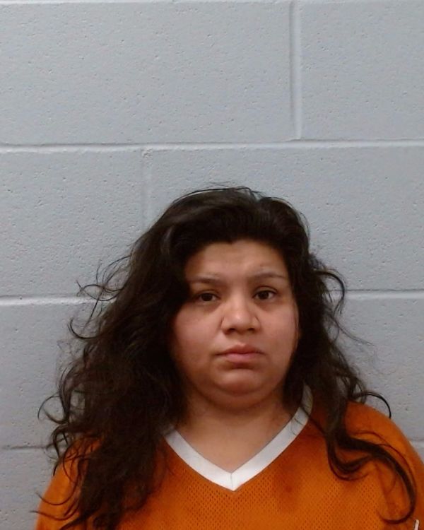Jaramillo, Araceli arrest record in Hays County, Texas Jaramillo, Araceli arrested in Hays County, Texas mugshot