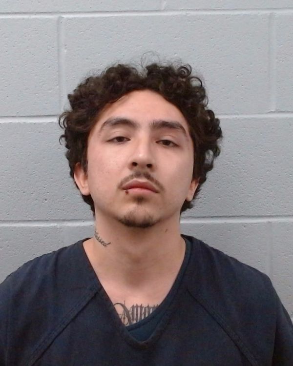Prince, David Matthew arrest record in Hays County, Texas Prince, David Matthew arrested in Hays County, Texas mugshot