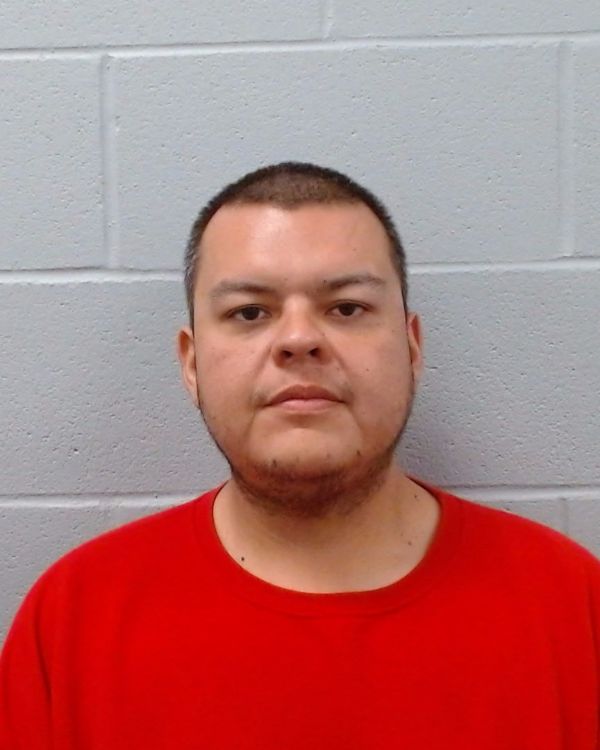 Castillo, Frank Bryan arrest record in Hays County, Texas Castillo, Frank Bryan arrested in Hays County, Texas mugshot