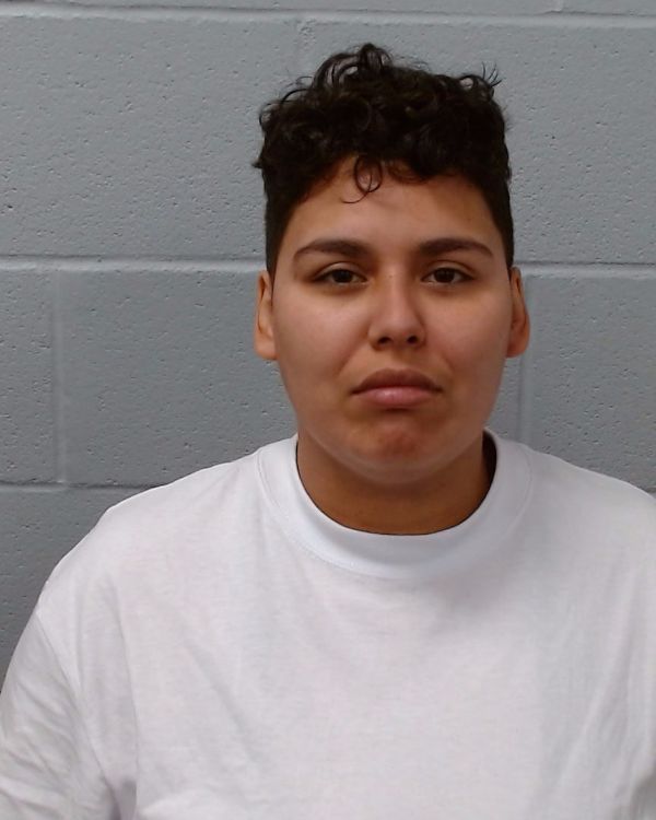 Gutierrez, Alexandra arrest record in Hays County, Texas Gutierrez, Alexandra arrested in Hays County, Texas mugshot