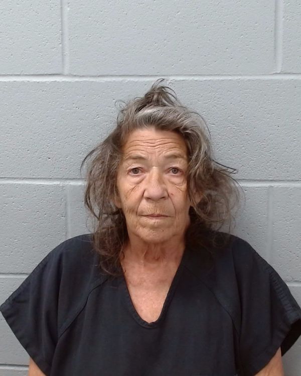 Gearhart, Sarah Stacy arrest record in Hays County, Texas Gearhart, Sarah Stacy arrested in Hays County, Texas mugshot