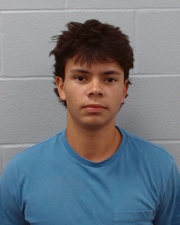 Ott, Albert Frederick arrest record in Hays County, Texas Ott, Albert Frederick arrested in Hays County, Texas mugshot