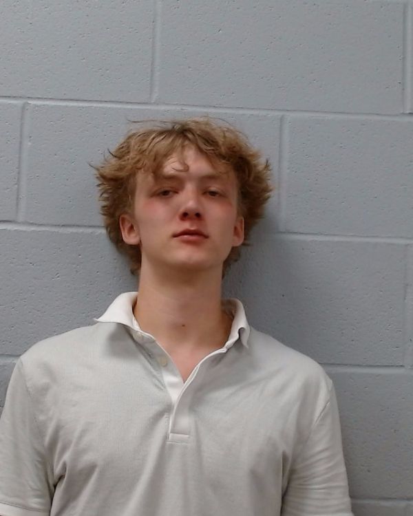 Hanz, Elliott David arrest record in Hays County, Texas Hanz, Elliott David arrested in Hays County, Texas mugshot
