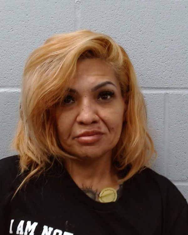 Vasquez, Denise Ann arrest record in Hays County, Texas Vasquez, Denise Ann arrested in Hays County, Texas mugshot