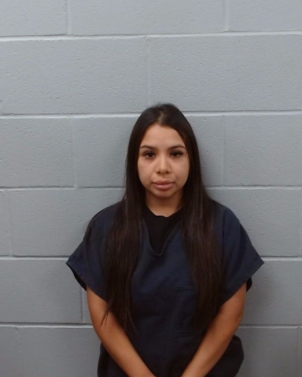 Hernandez, Valarie Pauline arrest record in Hays County, Texas Hernandez, Valarie Pauline arrested in Hays County, Texas mugshot